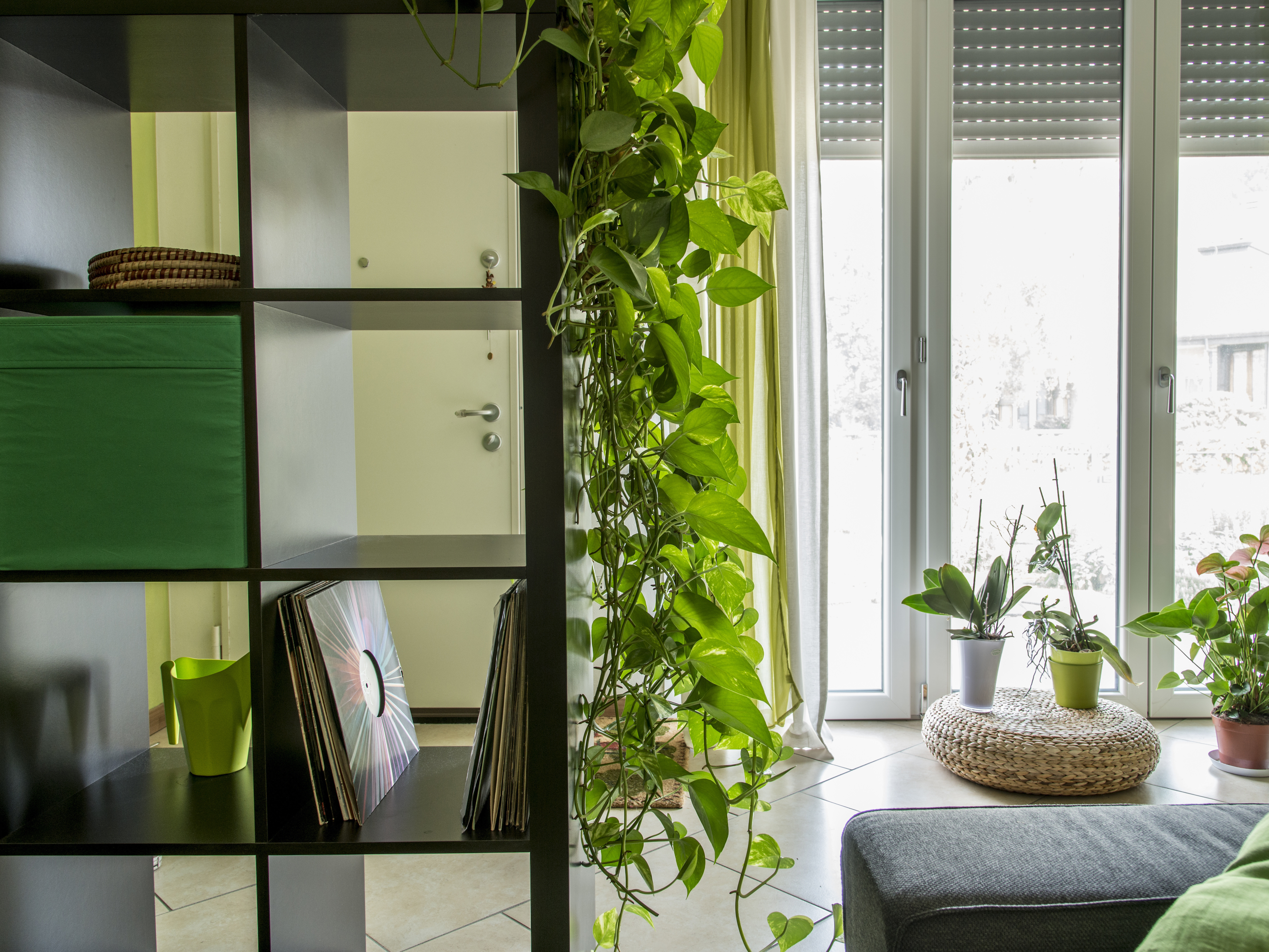 Living room with plants