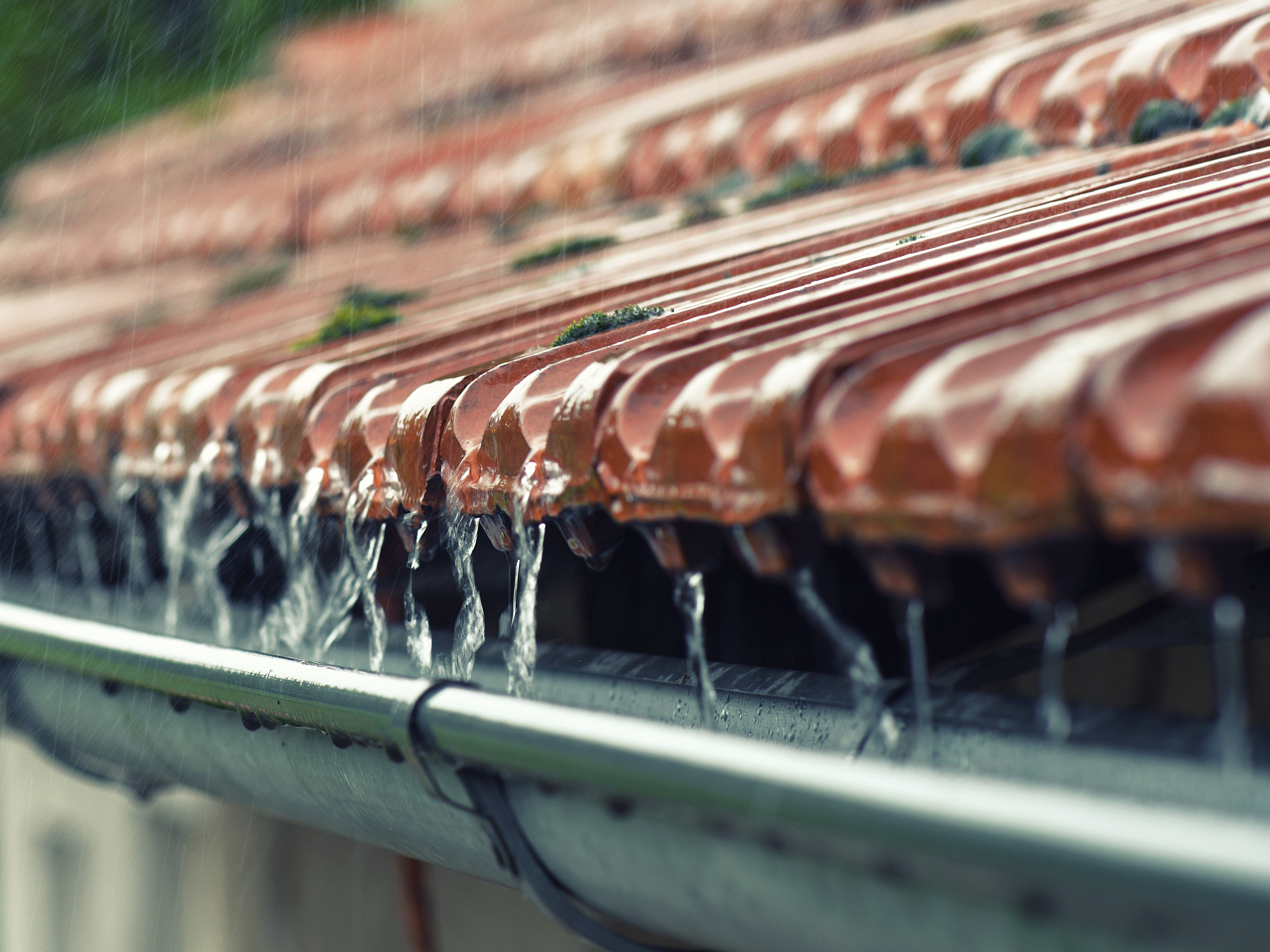 Roof gutter with rain